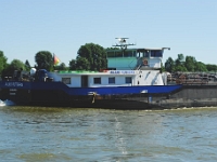 DSC 1901