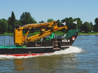 DSC 1903