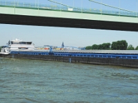 DSC 1905