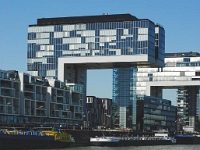 DSC 1920