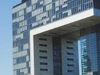 DSC 1924
