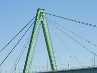 DSC 1955