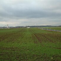 immendorf 2004009