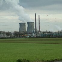immendorf 2004011