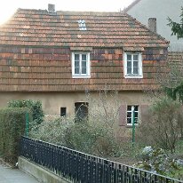 immendorf 2004026