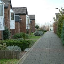 immendorf 2004028