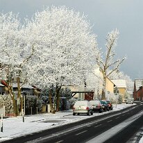 01.02.2006 Winter Immendorf 015