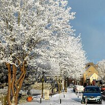 01.02.2006 Winter Immendorf 018