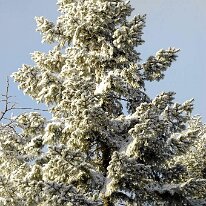01.02.2006 Winter Immendorf 024