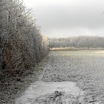 01.02.2006 Winter Immendorf 025