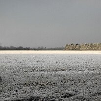 01.02.2006 Winter Immendorf 026