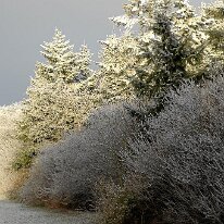 01.02.2006 Winter Immendorf 028