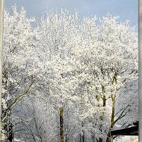01.02.2006 Winter Immendorf 031