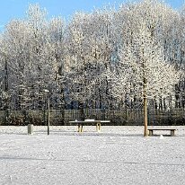 01.02.2006 Winter Immendorf 035